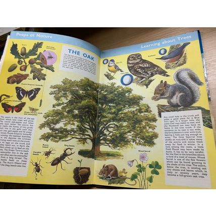 1966 "TREASURE ANNUAL 1967" ILLUSTRATED HARDBACK BOOK (P4)