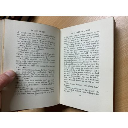 1916 BOOTH TARKINGTON "SEVENTEEN" ILLUSTRATED FICTION USA ANTIQUE BOOK (P4)