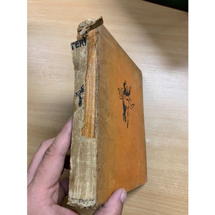 RARE* 1934 "LOW & TERRY" DAVID LOW & HORACE THOROGOOD ILLUSTRATED HB BOOK (P4)