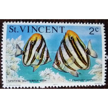 St Vincent 1975 Marine Life 2c Spot-fin Butterflyfish mint stamp SG423
