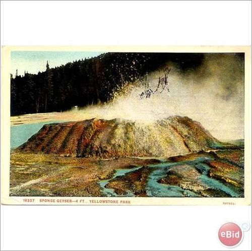 1929 "Sponge Geyser" Yellowstone Park, Wyoming