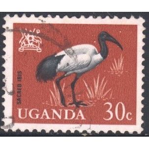 Uganda 1965 - SG117 - 30c black/brown - Sacred Ibis - used