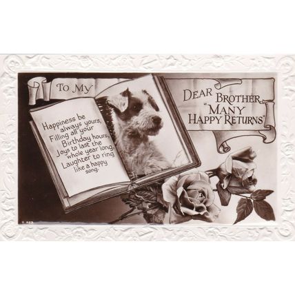 Dog Birthday Greetings Postcard unused VGC