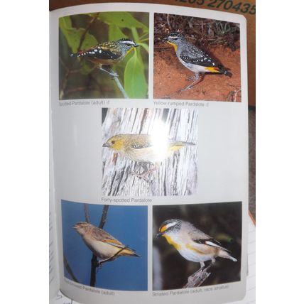 PHOTOGRAPHIC FIELD GUIDE: BIRDS OF AUSTRALIA (Jim Flegg, PB, GC, 2005)