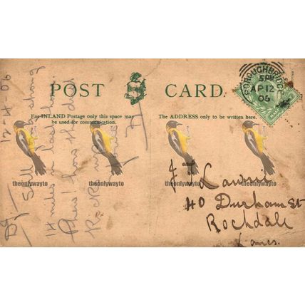 Cathedral West, Manchester, Hartmann Postcard, 1906