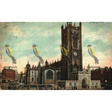Cathedral West, Manchester, Hartmann Postcard, 1906