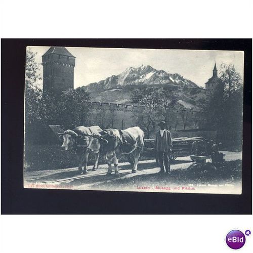 Switzerland LUZERN Ox Cart Postcard by Photoglob (137)