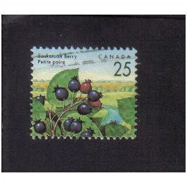 1991 canada saskatoon berry 25c f/u sg1466
