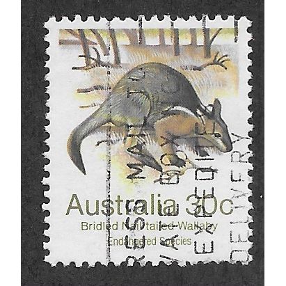 AUS 1981 30c 'WILDLIFE- WALLABY' FINE USED (EBID60-027)