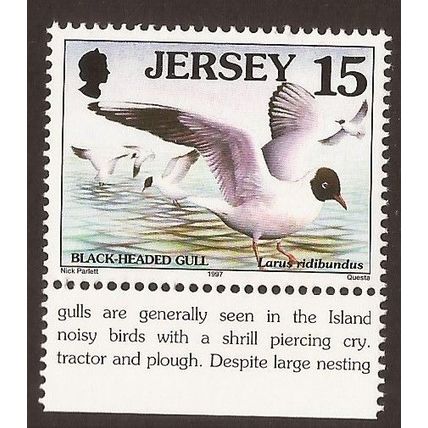 1997-99 Jersey, Sea Birds, Black Headed Gull, SG No. 779