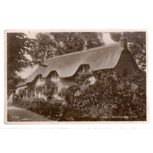 COTTAGES, STUDLAND BAY, DORSET. unused vintage postcard .. =
