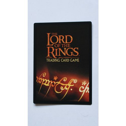 Lord of the Rings CCG Fellowship # 287 Extraordinary Resilience (A) 2001 lotr