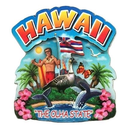 Hawaii the Aloha State Artwood Montage Fridge Magnet