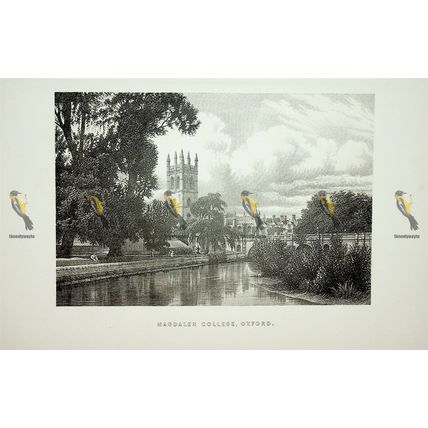Magdalen College, Oxford, England, Book Illustration (Print), 1895