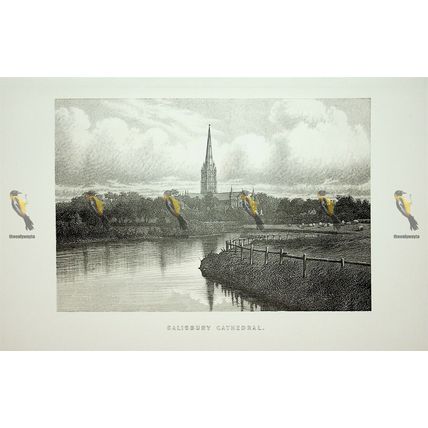 Salisbury Cathedral, Wiltshire, England, Book Illustration (Print), 1895