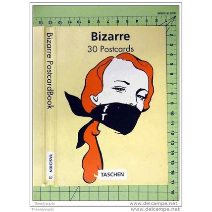 SPECIAL COVER FROM BIZARRE POSTCARD SERIES, FANTASY ART, 1996, Postcard