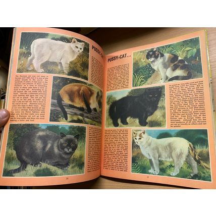 1968 "THE THIRD TREASURE BOOK OF ANIMALS" ANNUAL HARDBACK BOOK (P4)