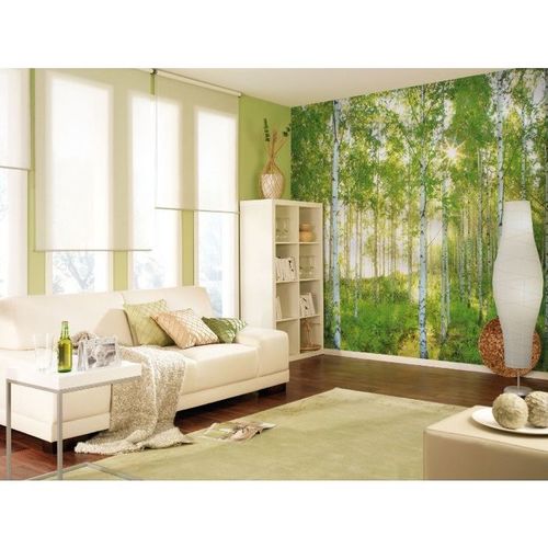 368x254cm Giant wallpaper mural wall decor green FOREST NATIONAL GEOGRAPHIC