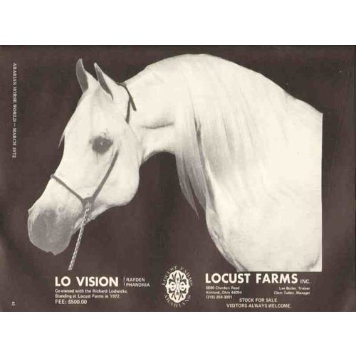 locust farms inc 1972 lo vision rafden phandria equestrian vintage ad