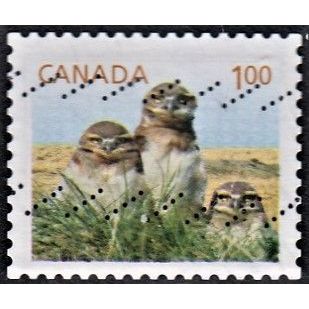 CANADA, 2014 'P' Juvenile Wildlife, SG 2706d (Scott #2710), used
