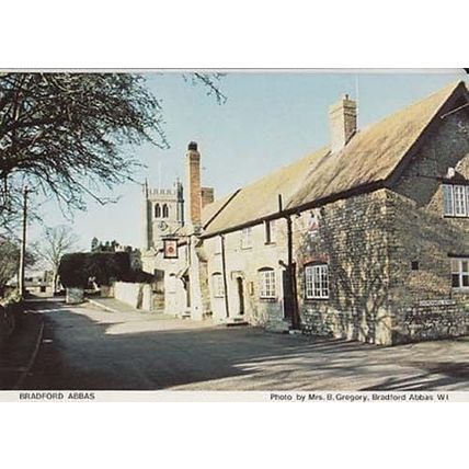Bradford Abbas Dorset Village Womens Institute Postcard