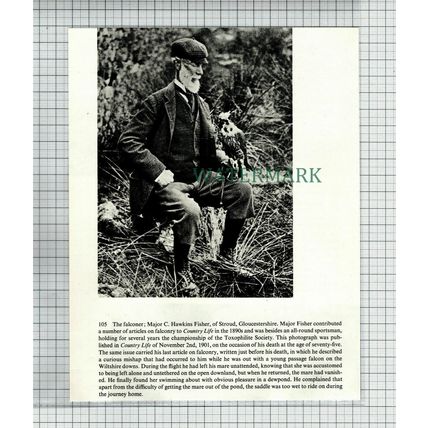 (6634) Major C Hawkins Fisher Stroud Gloucestershire - Cutting