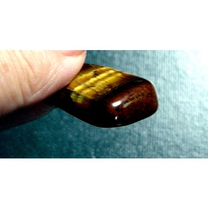 Tiger's Eye : Polished Stone : Quartz