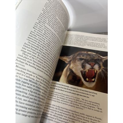 National Geographic Magazine July 1992 Mountain Lions - Vintage Collectable y