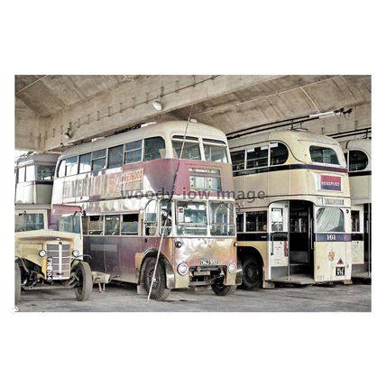 ptc7801 - Dorset - Bournemouth CT Trolleybuses at Mallard Rd. Depot - print 6x4