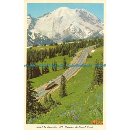 R054424 Road to Sunrise Mr. Rainier National Park