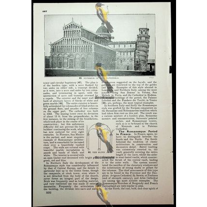 Exterior Of Pisa Cathedral, Italy, Book Illustration (Print), c1907
