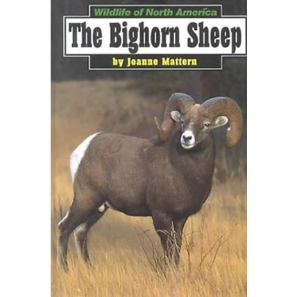The Bighorn Sheep (Wildlife of North America) Mattern, Joanne