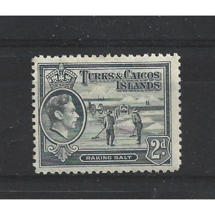 Turks&Caicos.SG198 2d Raking Salt (Grey).Mounted Mint.Aug24b