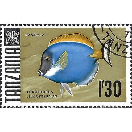 TANZANIA, FISH, Powderblue surgeinfish, gold 1967, 1/30, #2