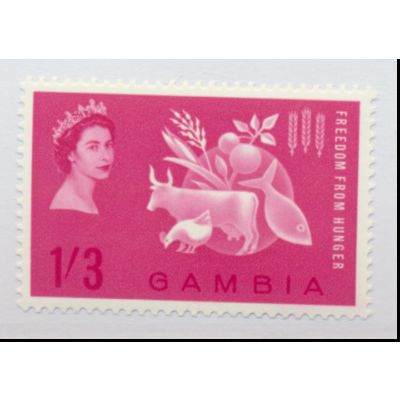 Gambia Stamp Scott #172, Mint Never Hinged