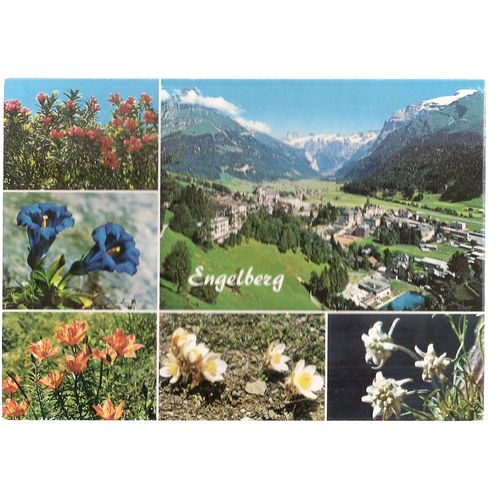 multiview, ENGELBERG, SWITZERLAND unused vintage postcard =