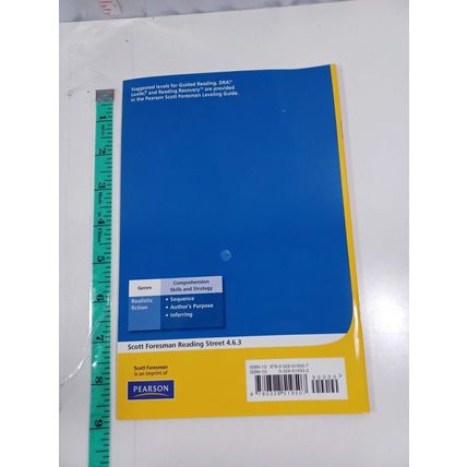 the seahaven squids host a pet wash scott foresman 4.6.3 Paperback (121-6)