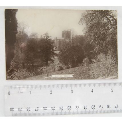 1915 postcard Milton Abbey, Blandford Forum, Dorset