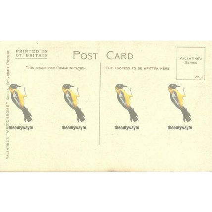 Sharpham Wood, River Dart, Cornwall, 8012X Valentine's Aurochrome Postcard, 1923