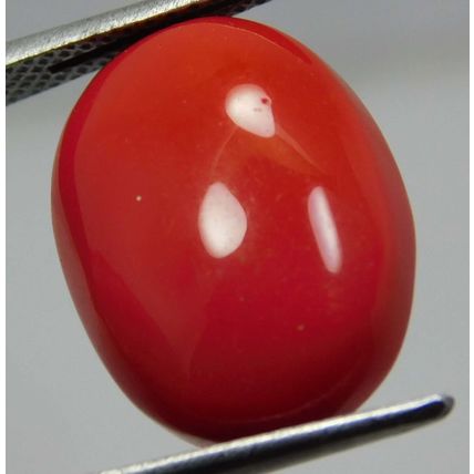 100% Natural 11.90 Ct Coral Oval Cut Rare Italian Loose Gemstone