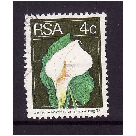 SOUTH AFRICA 1975 4c ARUM LILY SG 351 FINE USED #3