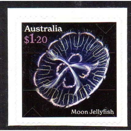 AUSTRALIA: 2023, JELLYFISH, MOON JELLYFISH, MNH SELF-ADHESIVE STAMP.