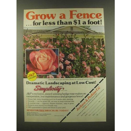 1985 Jackson & Perkins Hedge Rose Ad - Grow a Fence