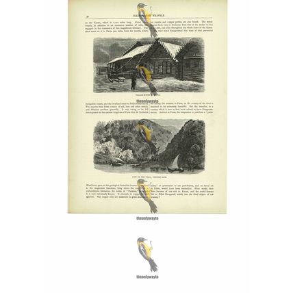 Village House & Volga River Scene, Russia, Book Illustration (Print), c1880