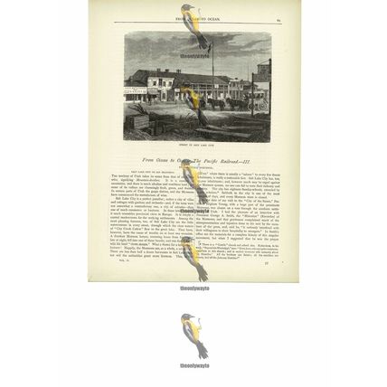 Street Scene, Salt Lake City, Utah, USA, Book Illustration (Print), c1880