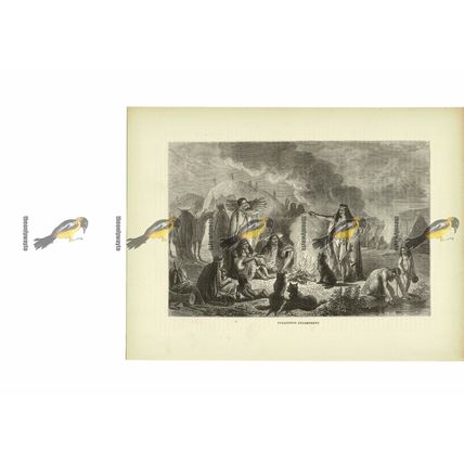 Patagonian (Indian) Encampment, South America, Book Illustration (Print), c1880