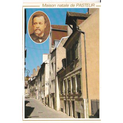Dole Maison Pasteur France Postcard unused VGC