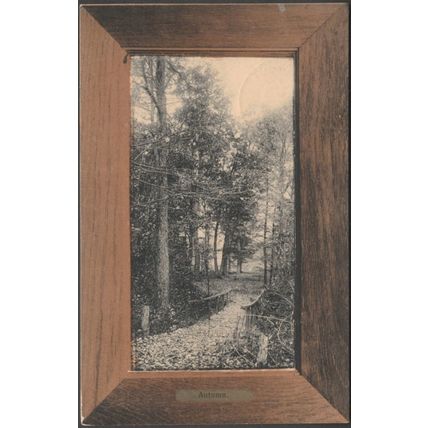 Autumn, Meadville, Pennsylvania, 1907 - Rotograph Co Postcard