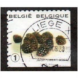 BEL 2007 (52c)(S/A) 'FRUIT- BLACKBERRIES' FINE USED (EBID10438)