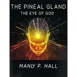 The Pineal Gland